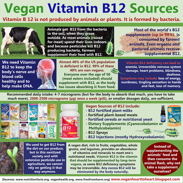 b12.png