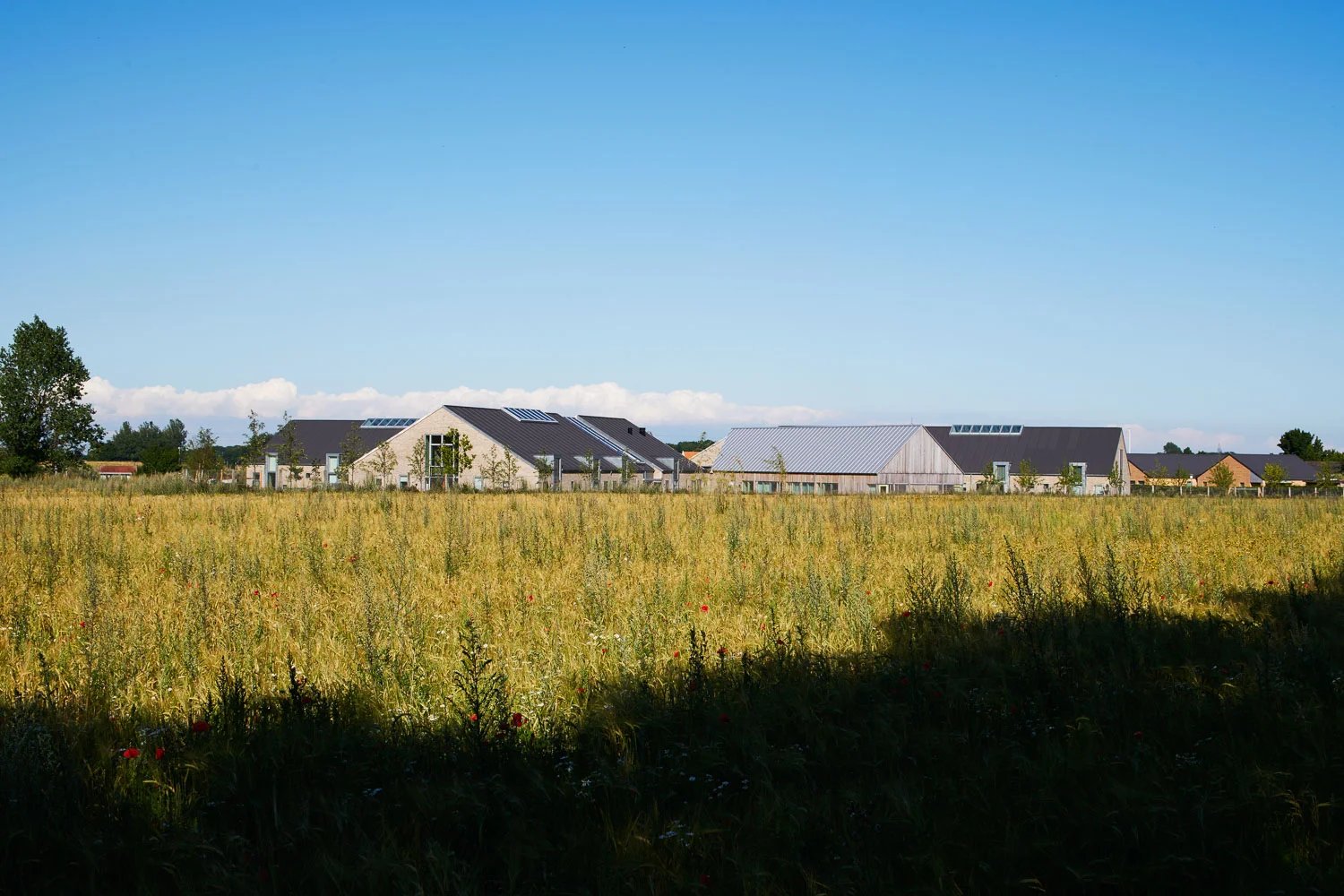 BornehuseneStjernen_på Odense i Danmark Odense arkitektur bild 7.jpg