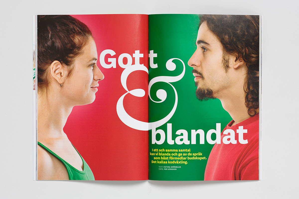 Utdrag från Språktidningen syskonpar.jpg