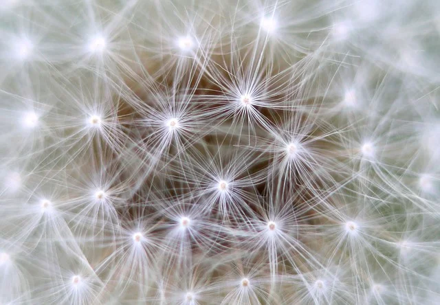 neurons-nature.jpg