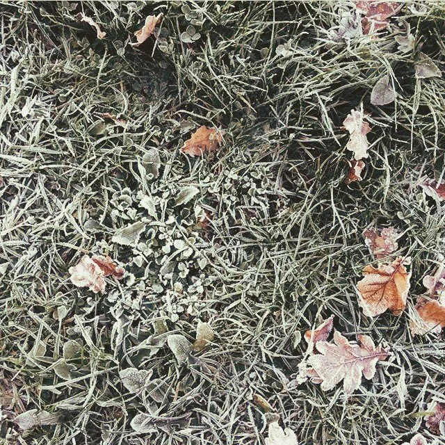 @mutant-kidz Instagram take-over