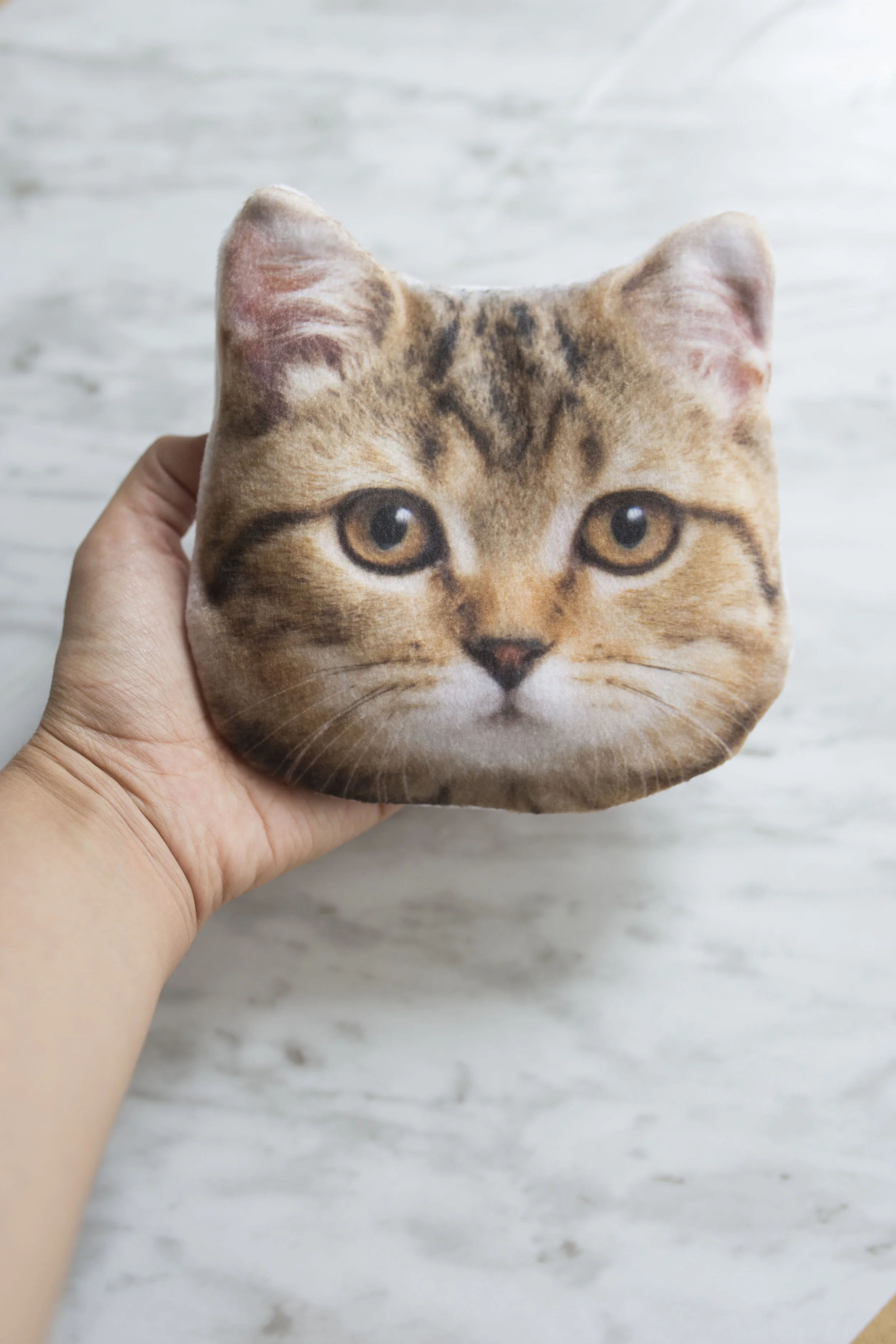 the kitty cat store