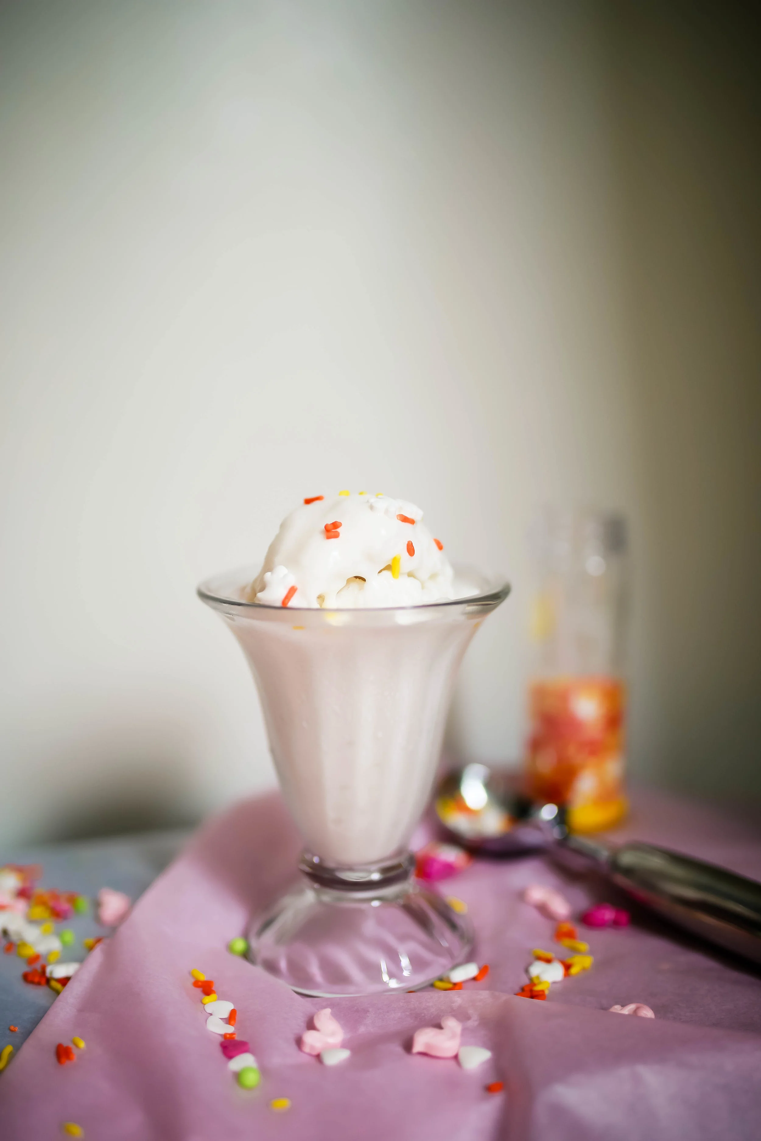 3 Ingredient Coconut Milk Ice Cream — The Dollar Store Girl