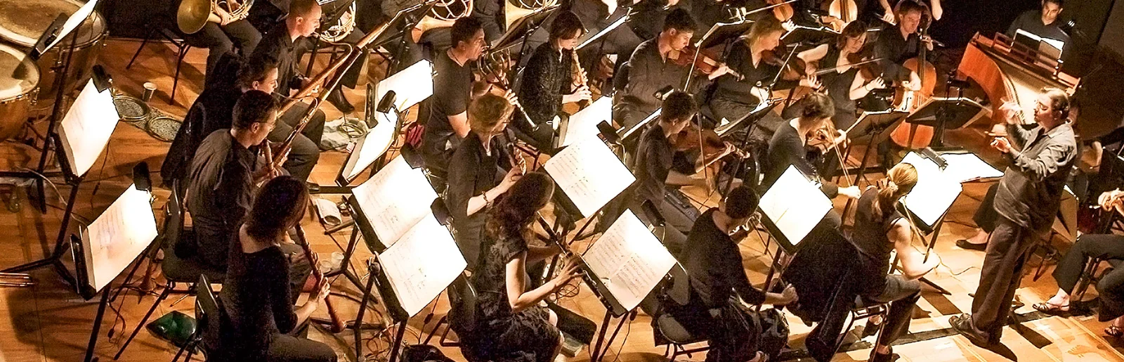 Orchestra of the Antipodes in performance