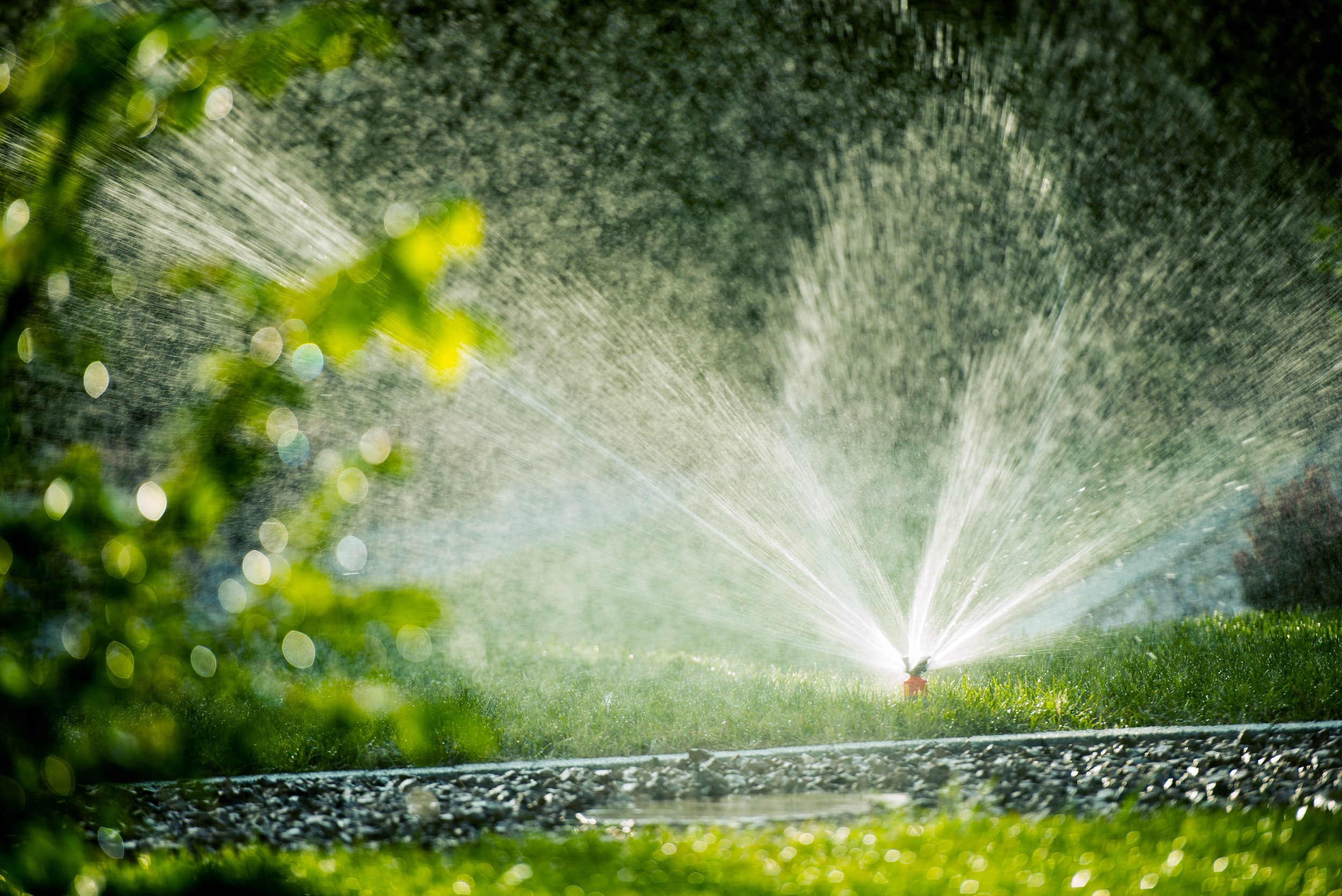 Irrigation - custom sprinkler systems and irrigation options