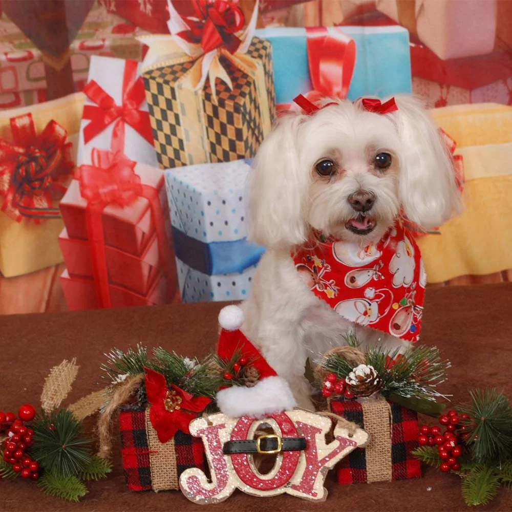 Holiday Pictures.jpg
