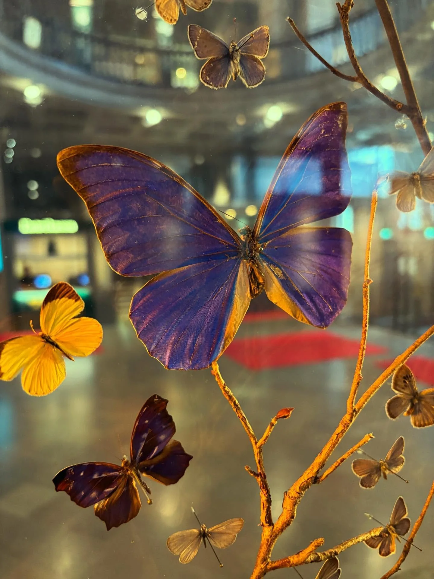 V &Aring; R ~ Y O G A 

Det blir yoga kvar mandag i April! 
Klassane har fokus p&aring; v&aring;r, - og &aring; f&aring; kroppen ut av vinterdvalen. 
Vi har &oslash;velser som setter i gong kroppens eige rensesystem, puste&oslash;velser, styrke og fl