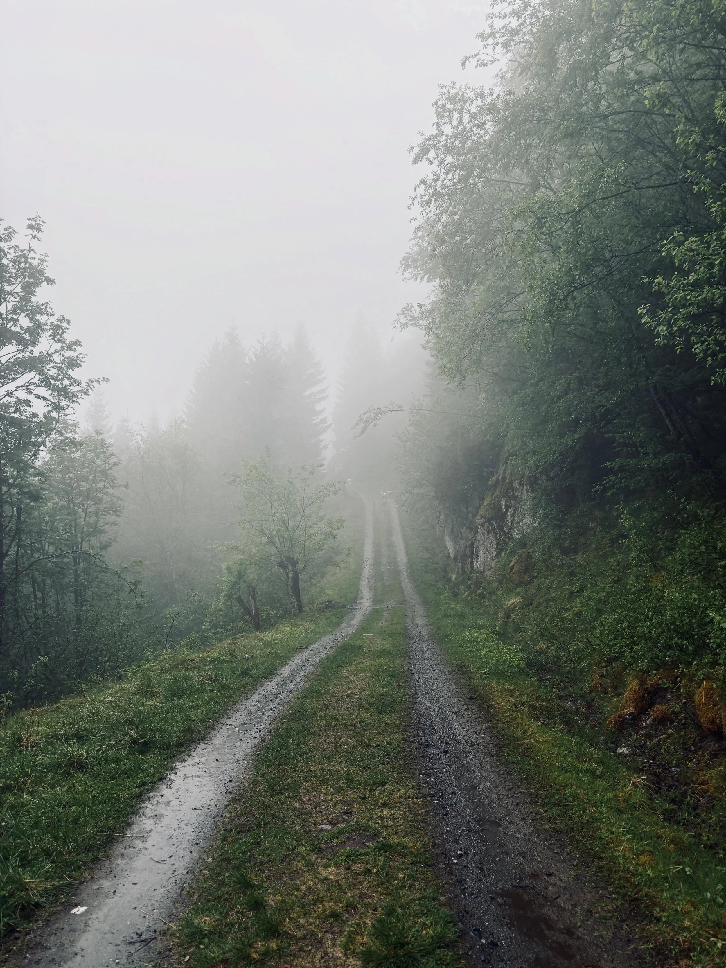 Walking in the mystic mist in Brenndalen. 

I love nature. 

#naturephotography #naturelovers #mountainviews #waterfallphotography #mysticnature