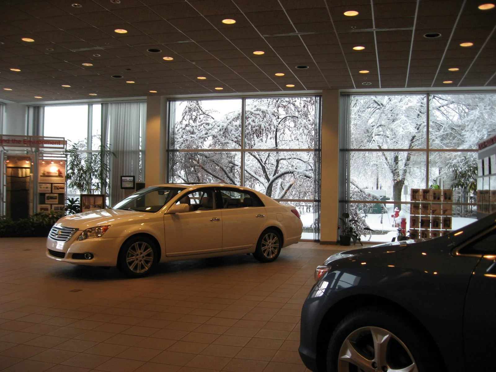 Tour Guide Honor Roll!