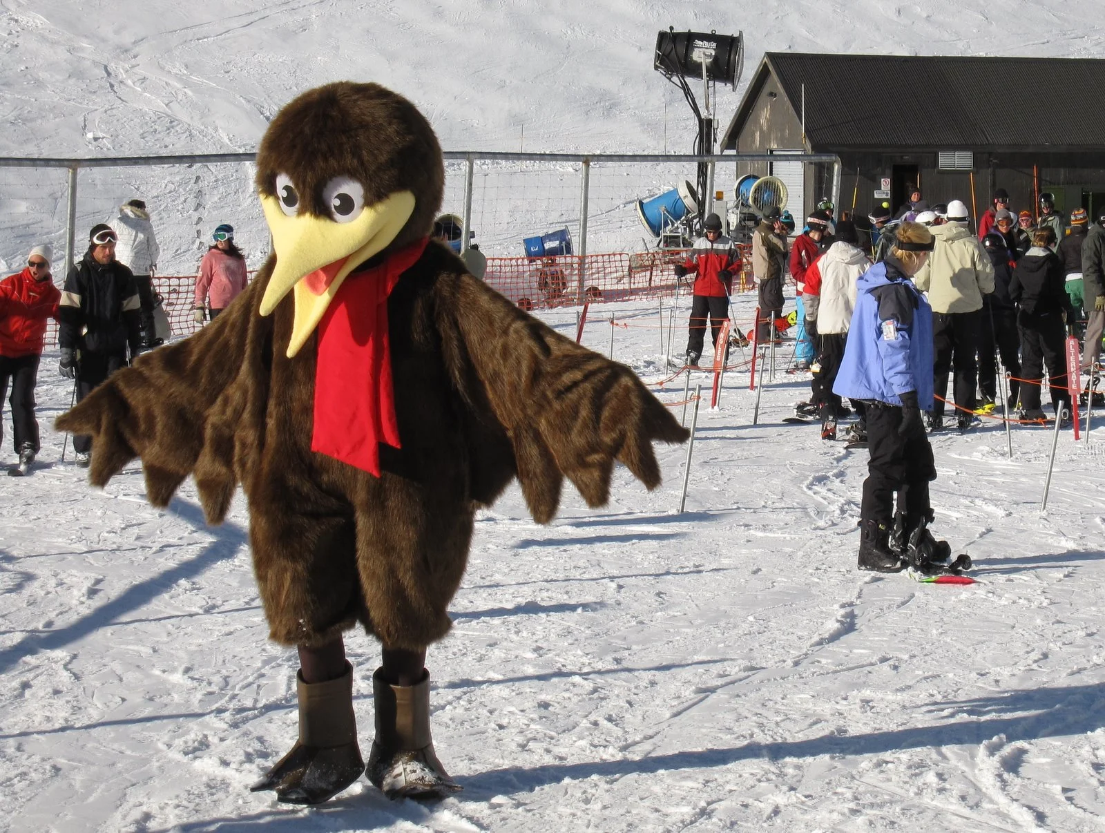 Back to School: learning how to snowboard