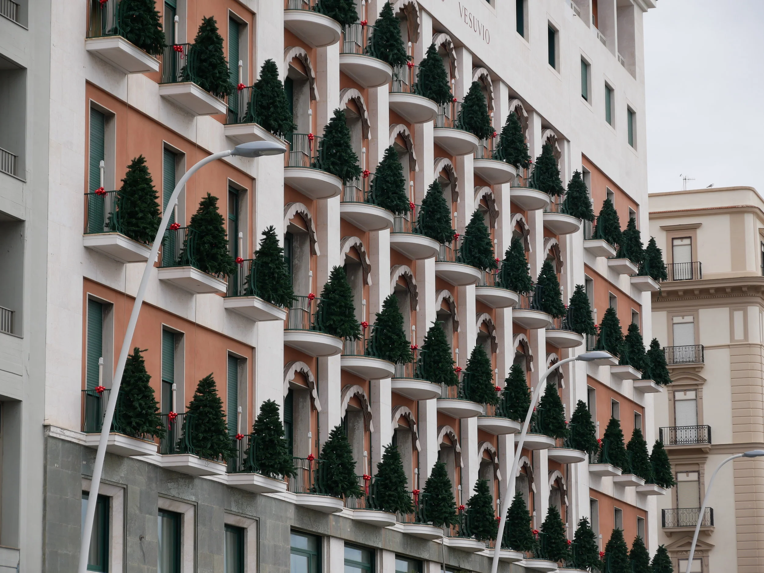 Seville Christmas Trees on balconies.jpg
