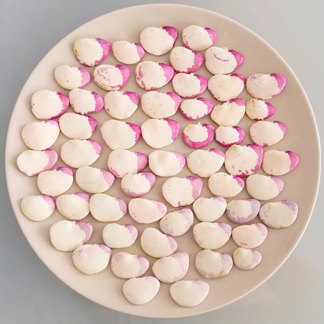 Garraf&oacute;n peeled and ready for paella valenciana 🥘 #gradient #ombre .
.
.
.
.
#paella #paellavalenciana #garraf&oacute;n #beans #legumes #f52grams #miseenplace #cookingathome #onmytable #onmyplate #epicurious #cntraveller #cnntravel #valencia 