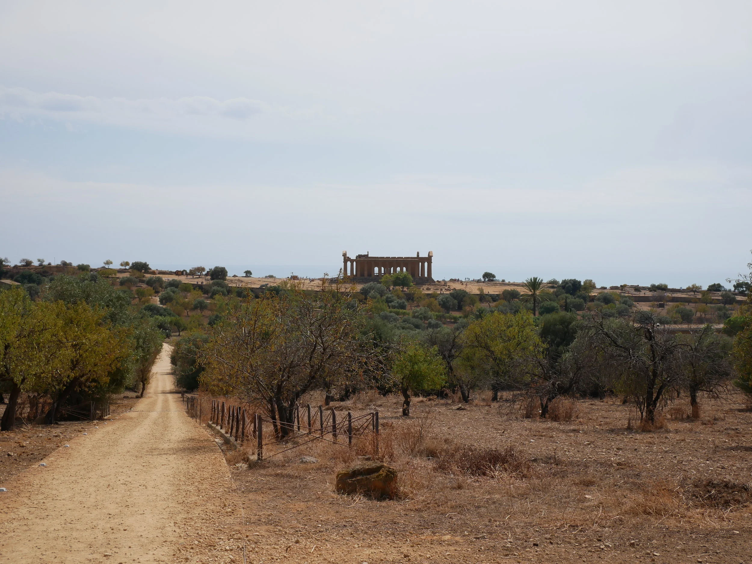 How to get from Catania to Palermo via the Valley of the Temples (Agrigento) - in 1 day by bus, train, and foot!