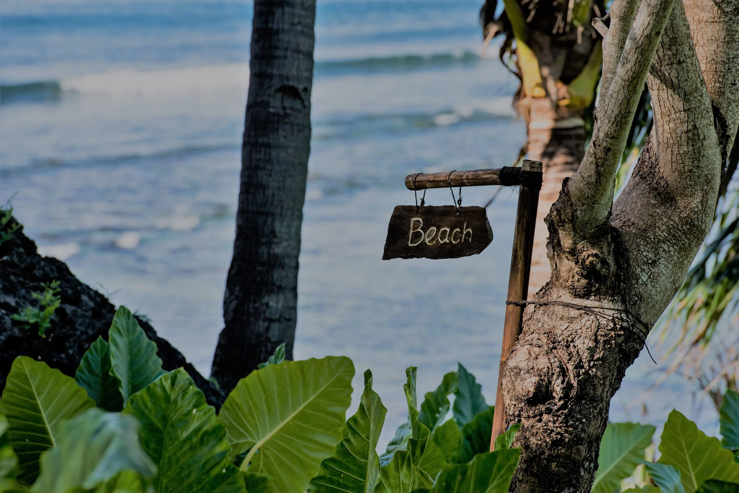 Honeymoon planning made easy...