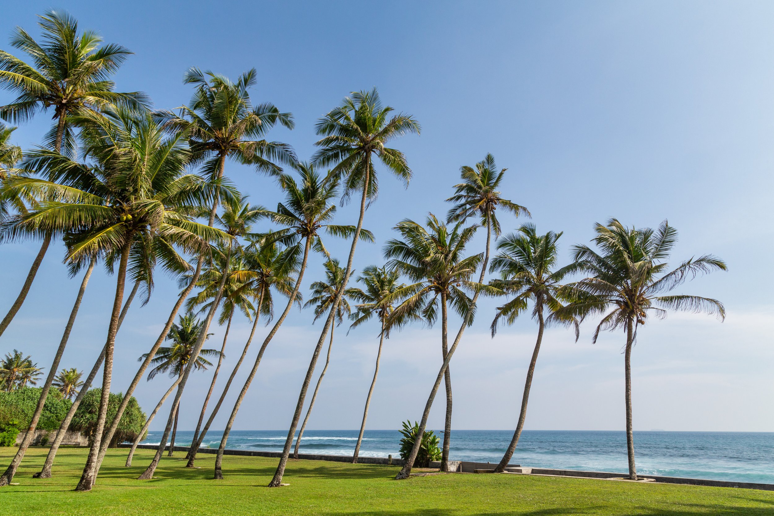 Garden Sea View.jpg