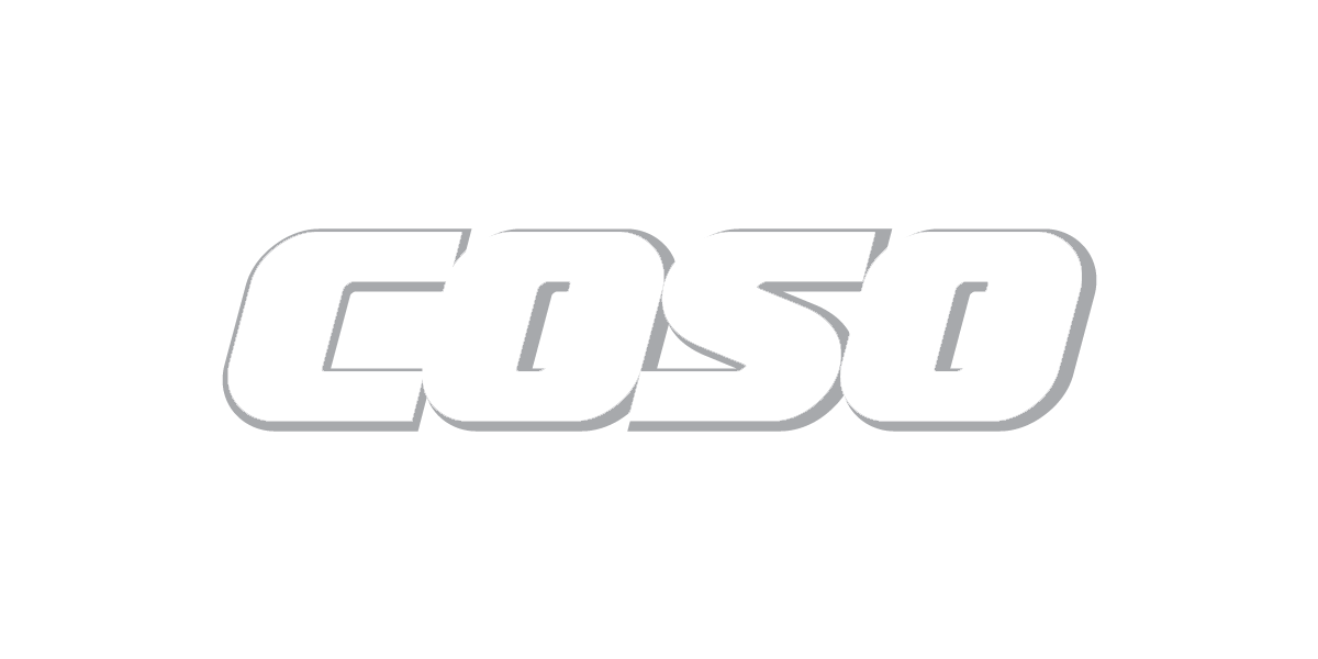 COSO NEW.png