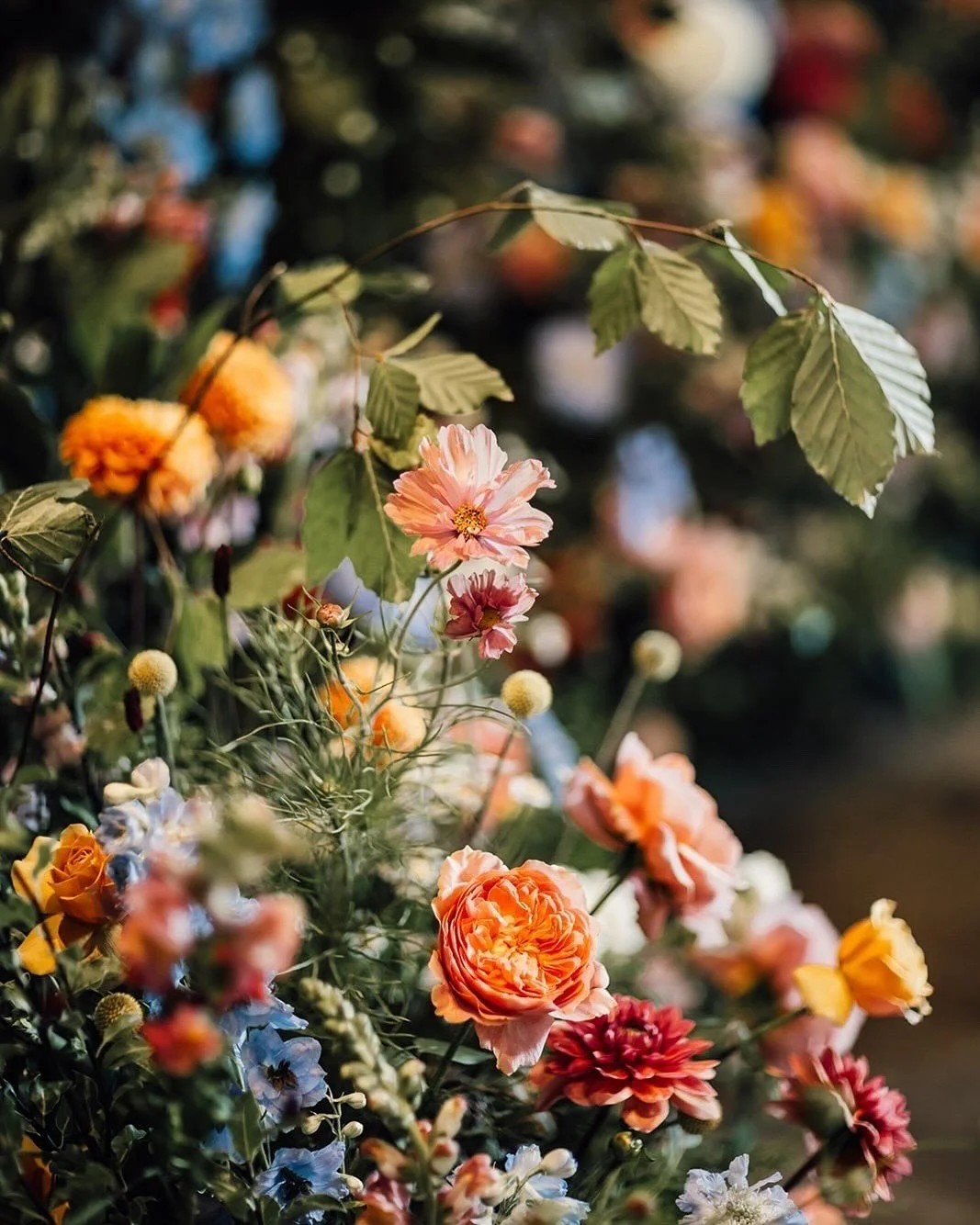 We believe in the quiet power of flowers &mdash; their ability to transform spaces and evoke emotion.  For G&amp;S this led us to creating a beautiful floral cocoon for their ceremony. This gorgeous couple were surrounded by the prettiest roses and d