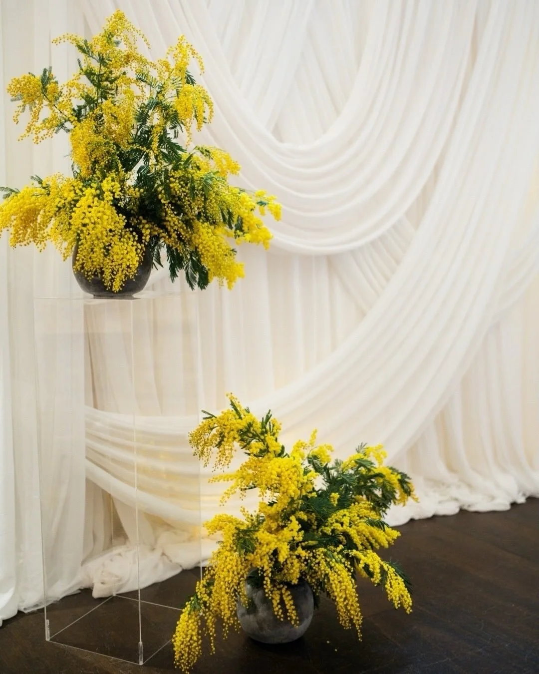 We&rsquo;re proud to be one of Huntsmill Farm&rsquo;s Preferred Partners! Here are a few images from a few of our Huntsmill weddings and their February open day, featuring the gorgeous fluffy mimosa and vibrant Icelandic poppies.
⠀⠀⠀⠀⠀⠀⠀⠀⠀
Images by 