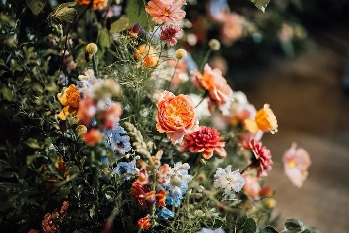 A vibrant floral meadow filled with beautiful blooms for G&amp;S created a special backdrop for their vows. Moments like this are why we love what we do.
⠀⠀⠀⠀⠀⠀⠀⠀⠀
Venue @tythebarnlaunton 
Photographer @lauramac.photography