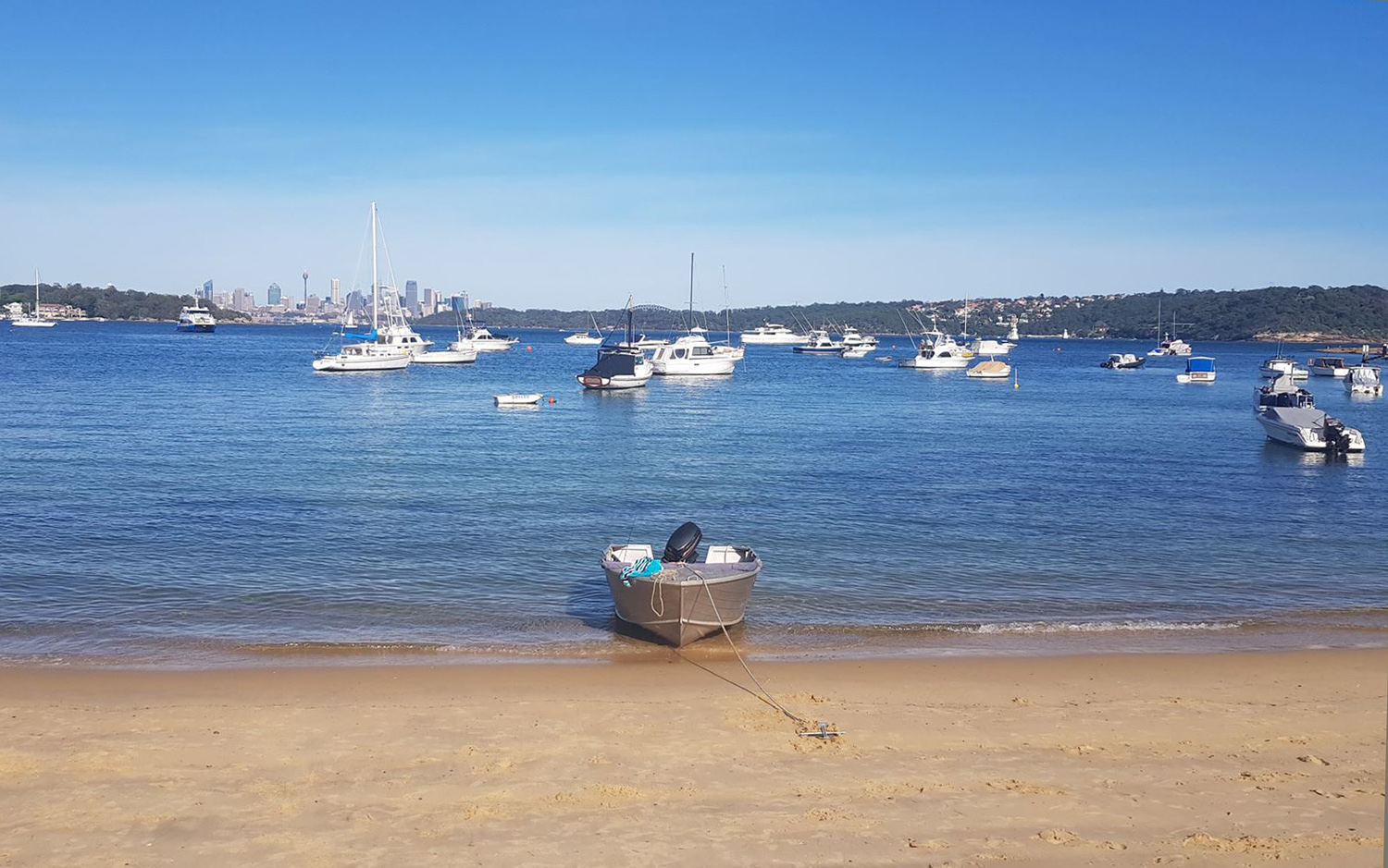 watsons bay beach.jpeg
