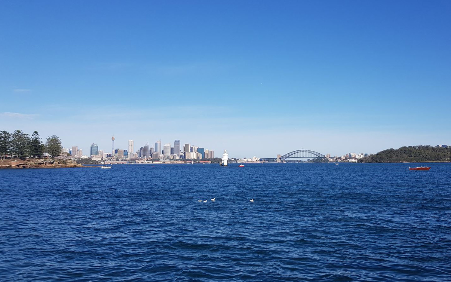 Sydney skyline.jpeg