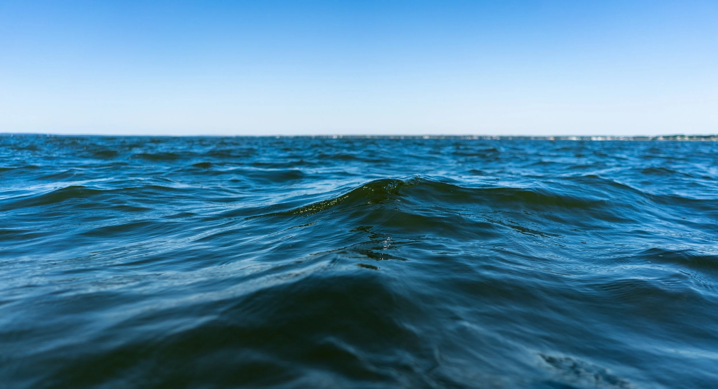 wave.jpg