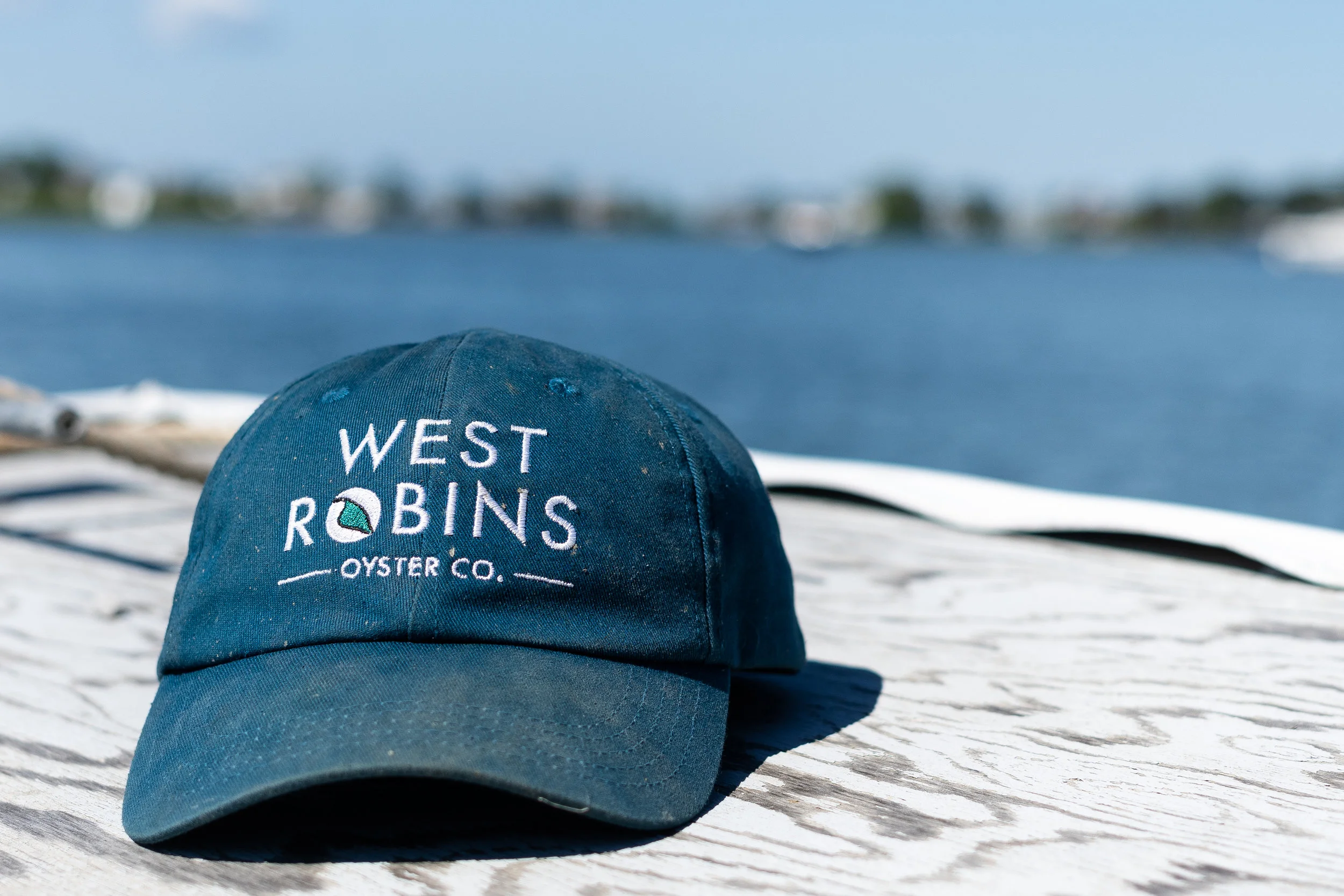 blue hat.jpg