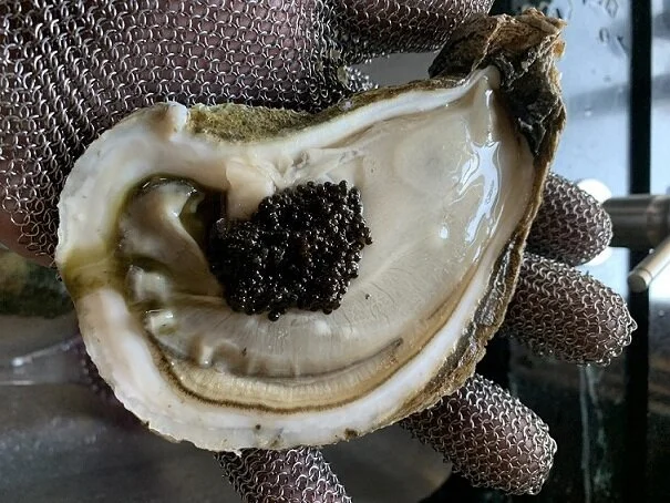 24 Large / Jumbo