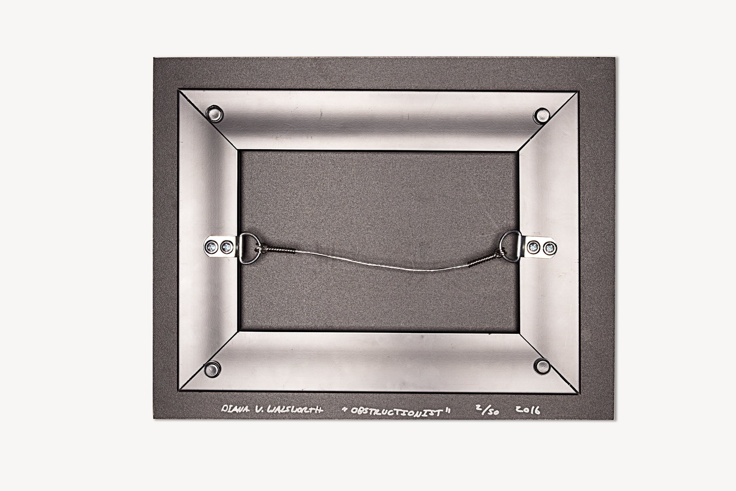 Metal Frame - Back copy3.jpg