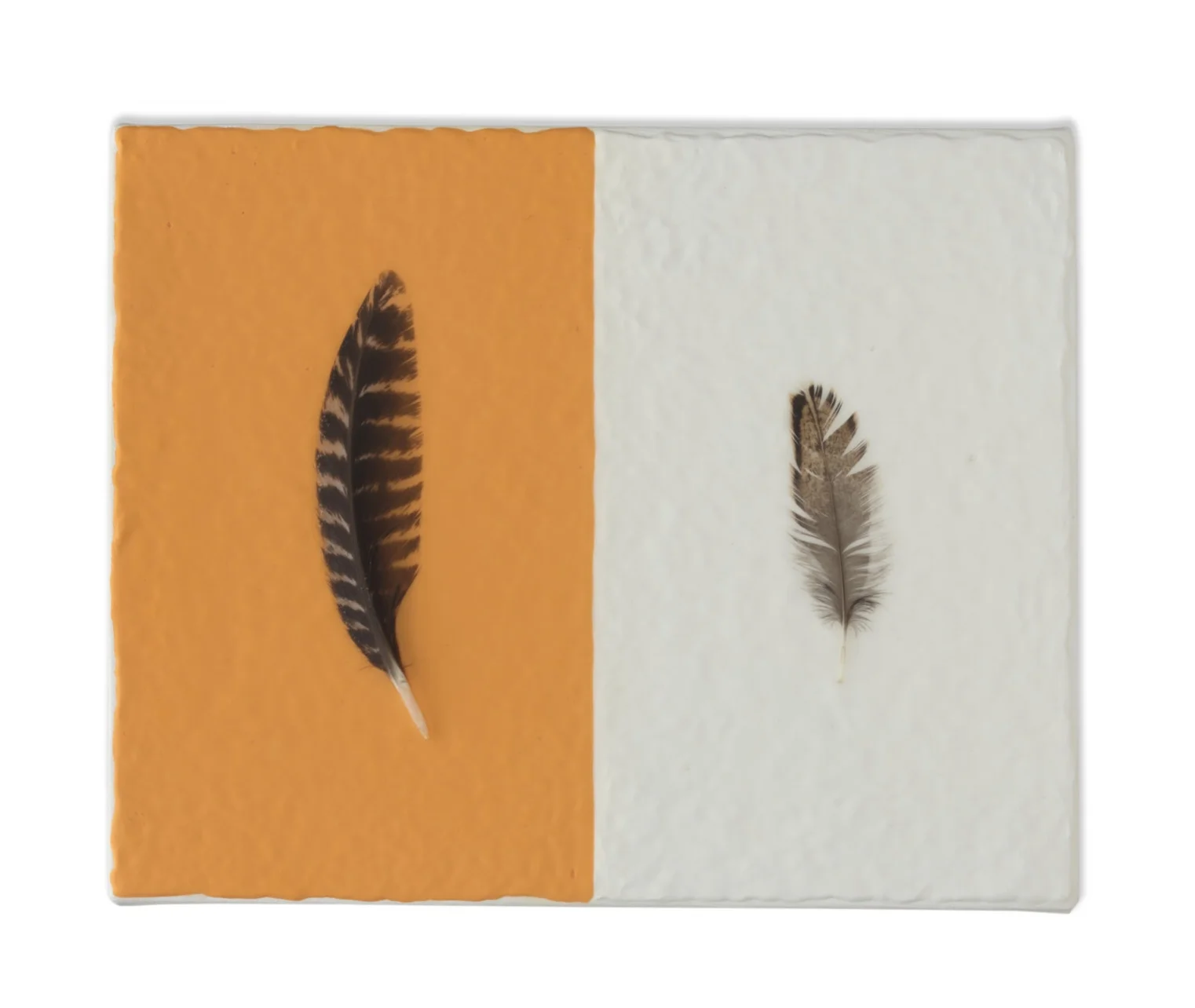 Feathers_3.jpg