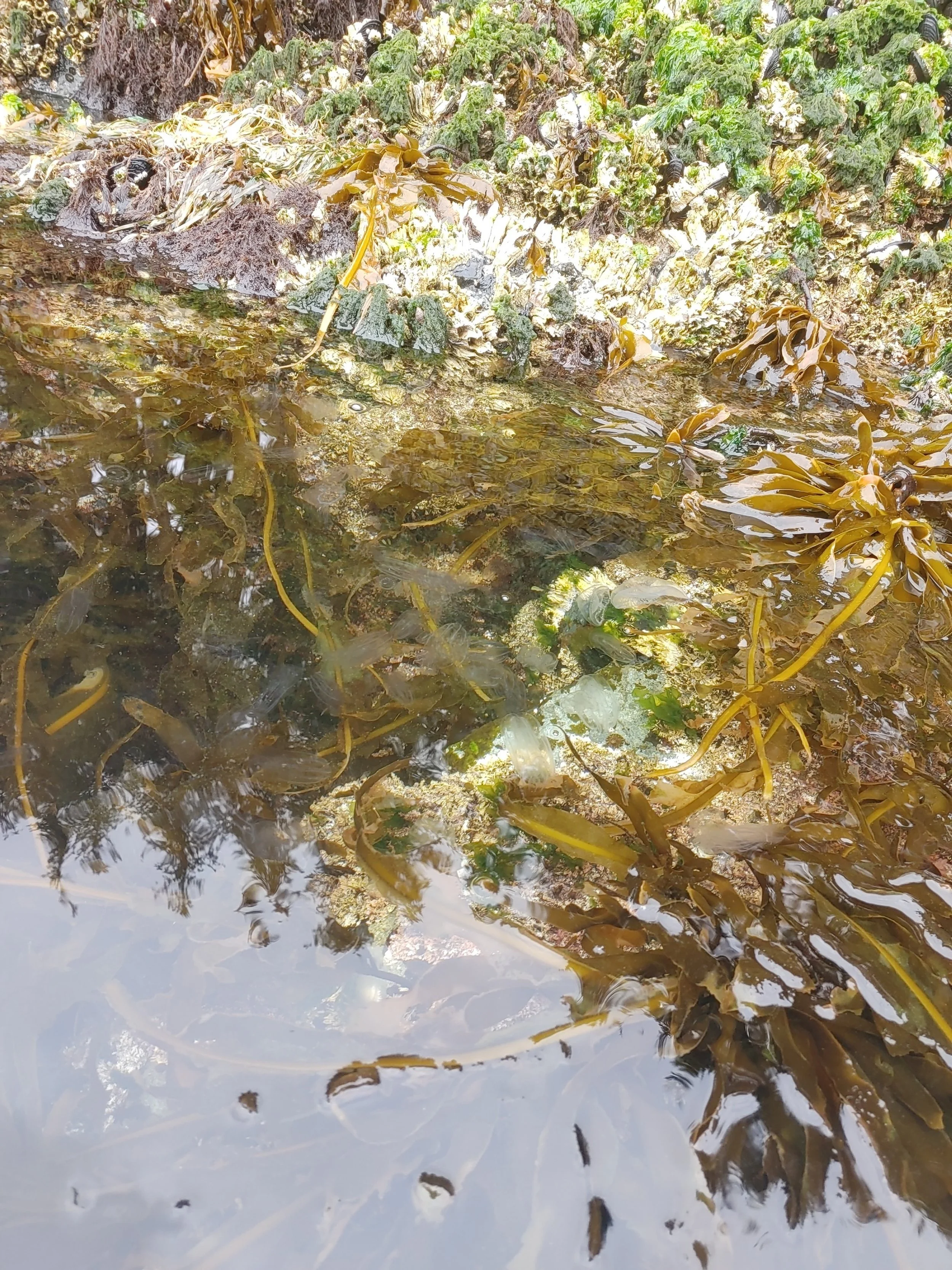 Insane water clarity 