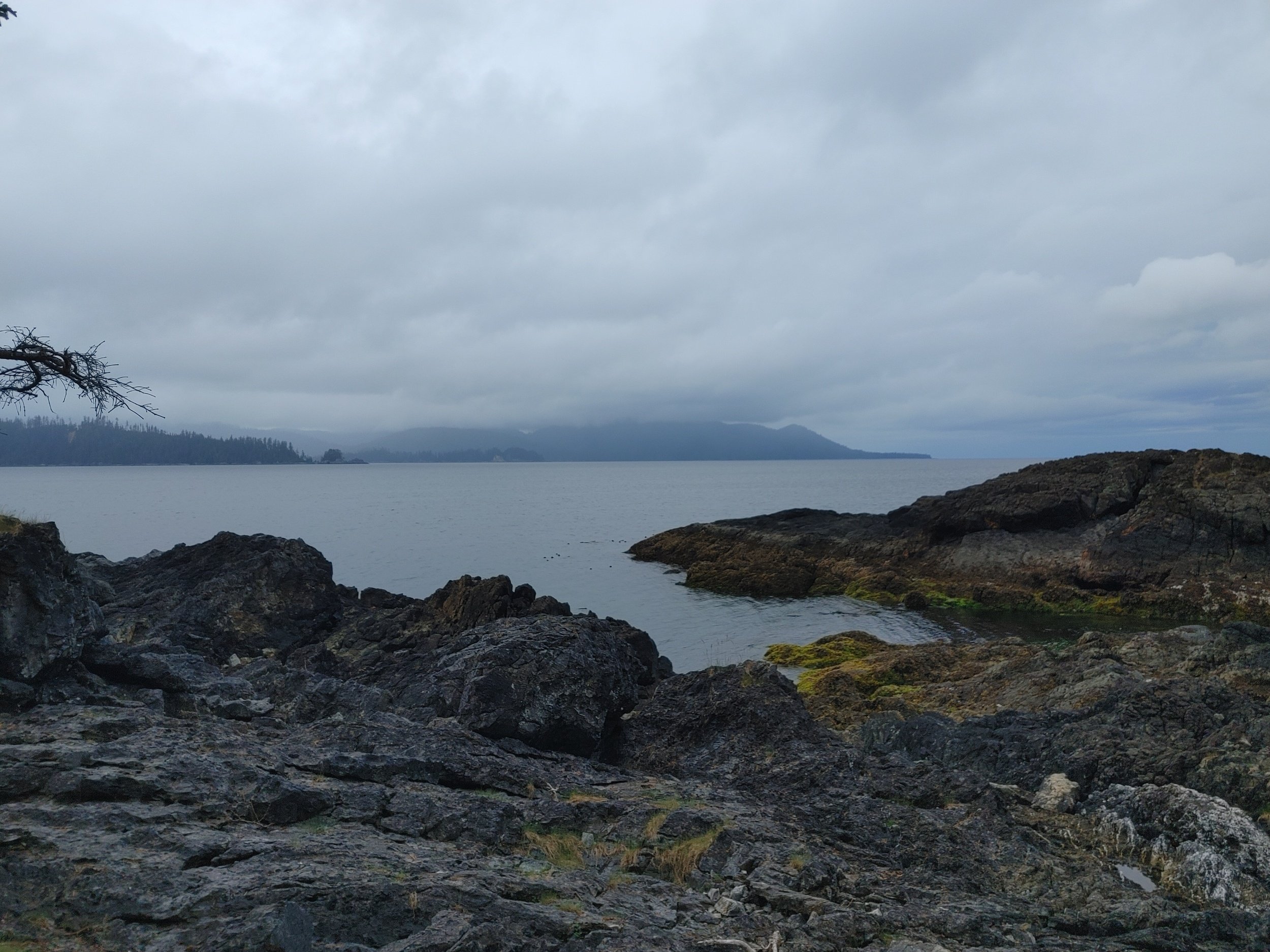  Doing a little nature walk on our last day in Gwaii Haanas before taking the Zodiac back to home base tomorrow.  