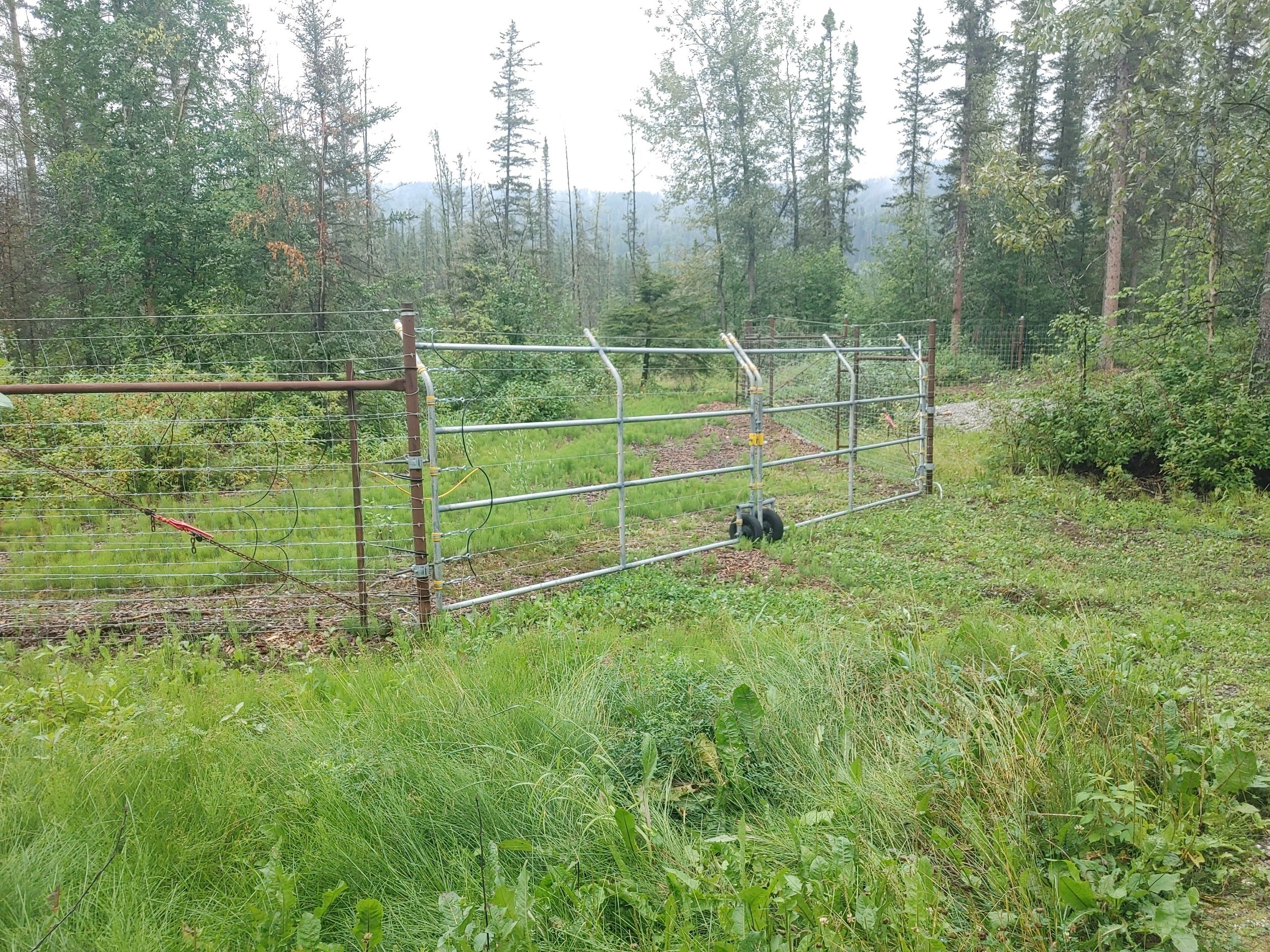 Bear cage [for us, keep them out of camp site] 