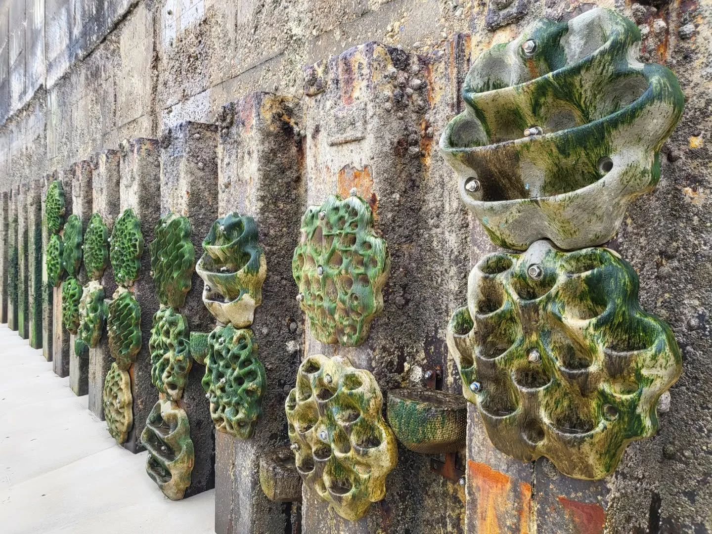 Finally got to Southwick Reef - only a couple of months in and the greening is clear so hopefully a sign that habitats will thrive on these artifical features. Make sure you go at low(ish) tide otherwise you won't get near them! @shoreham_port @adurw