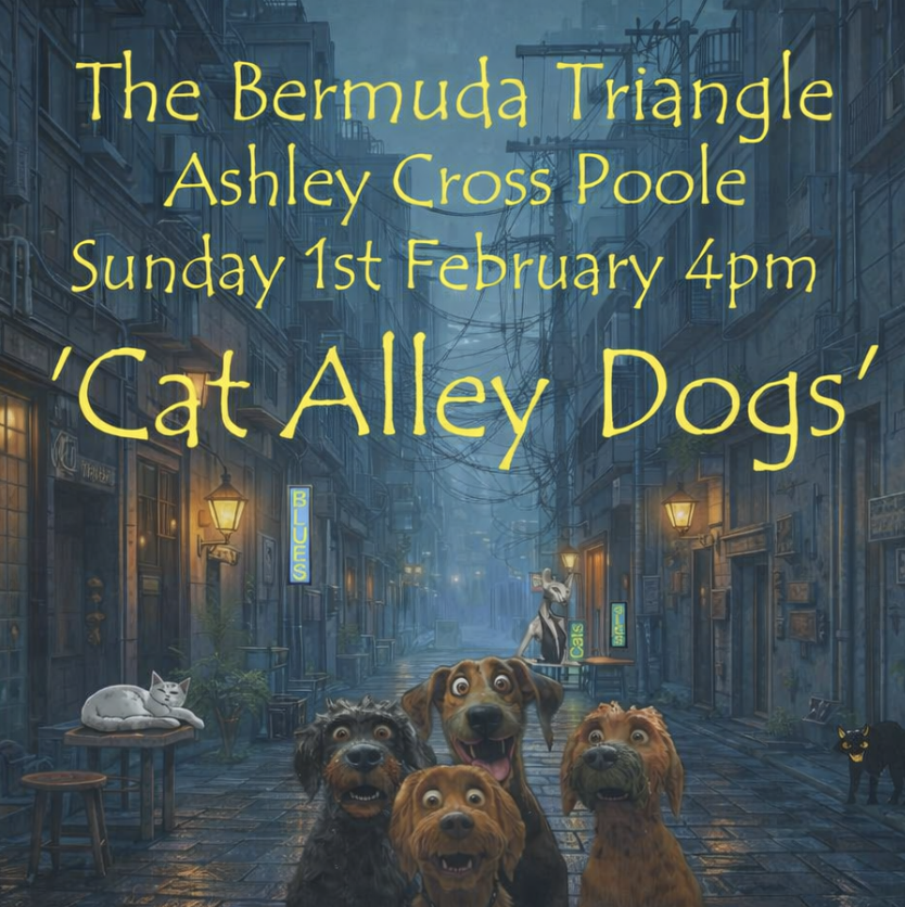 LIVE MUSIC 🎸 Cat Alley Dogs 