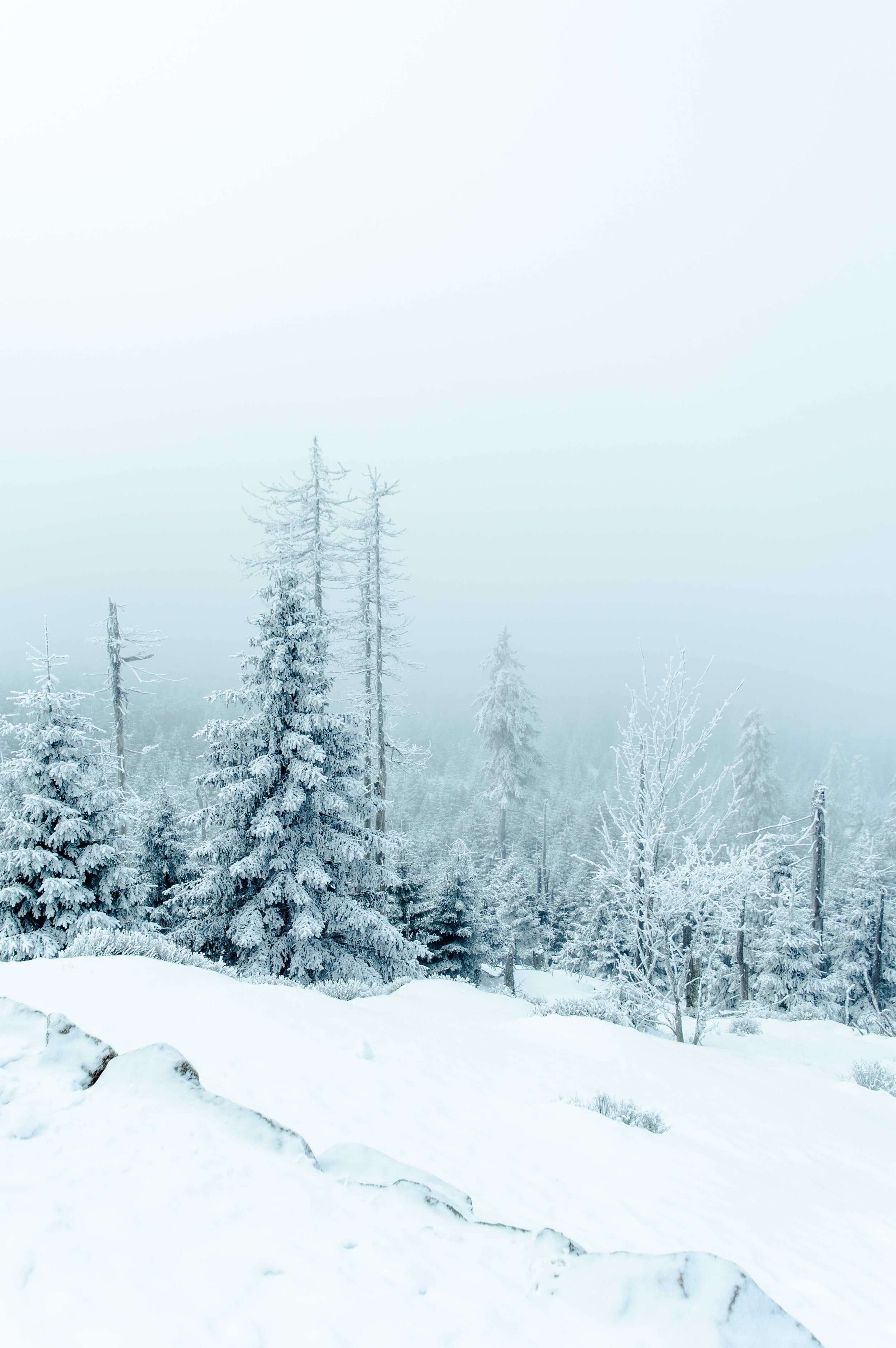 DSC_0885_LR_LR.jpg