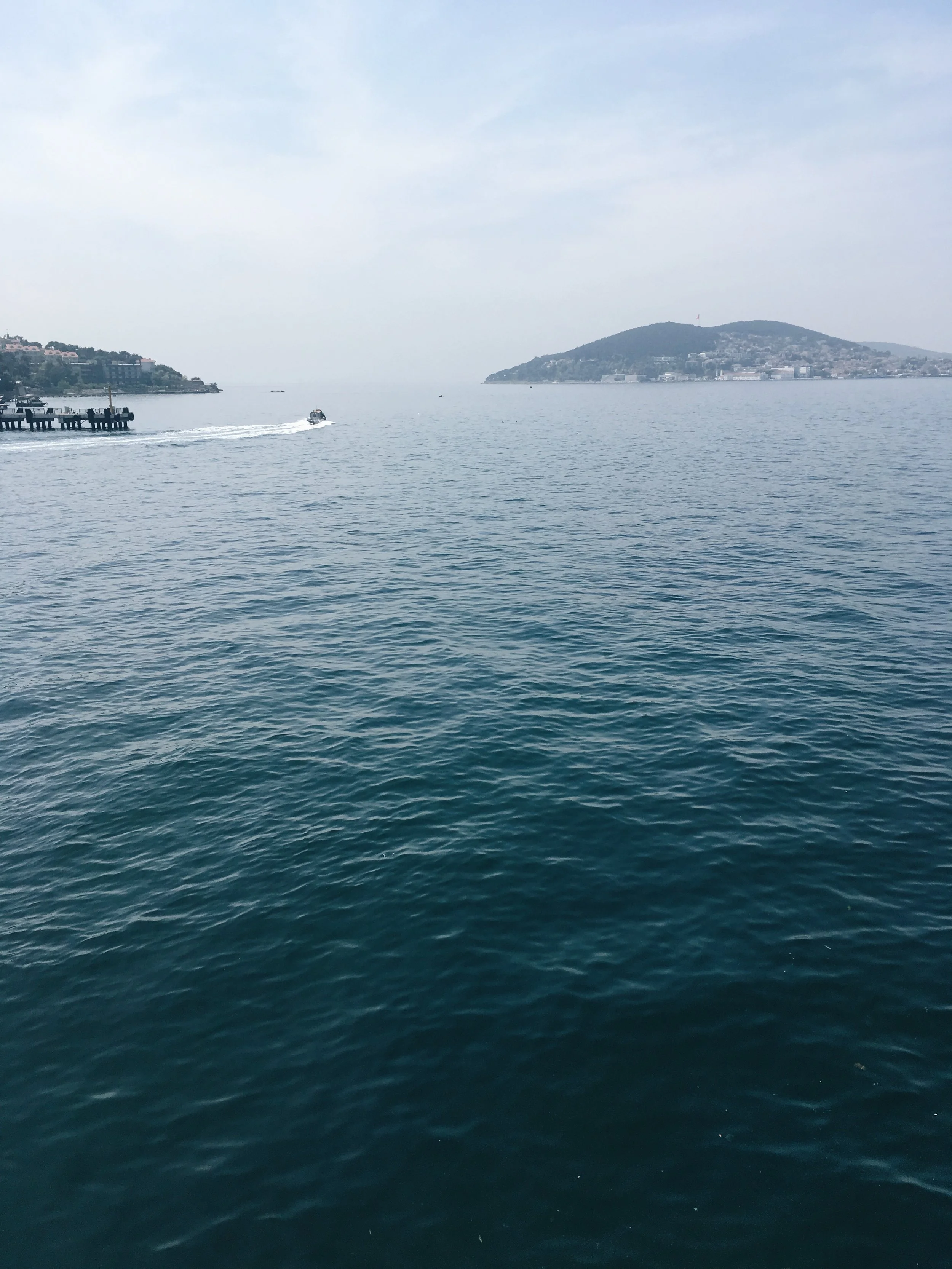 15F1FCE9-C8DA-4465-A618-265C168A217F.jpg