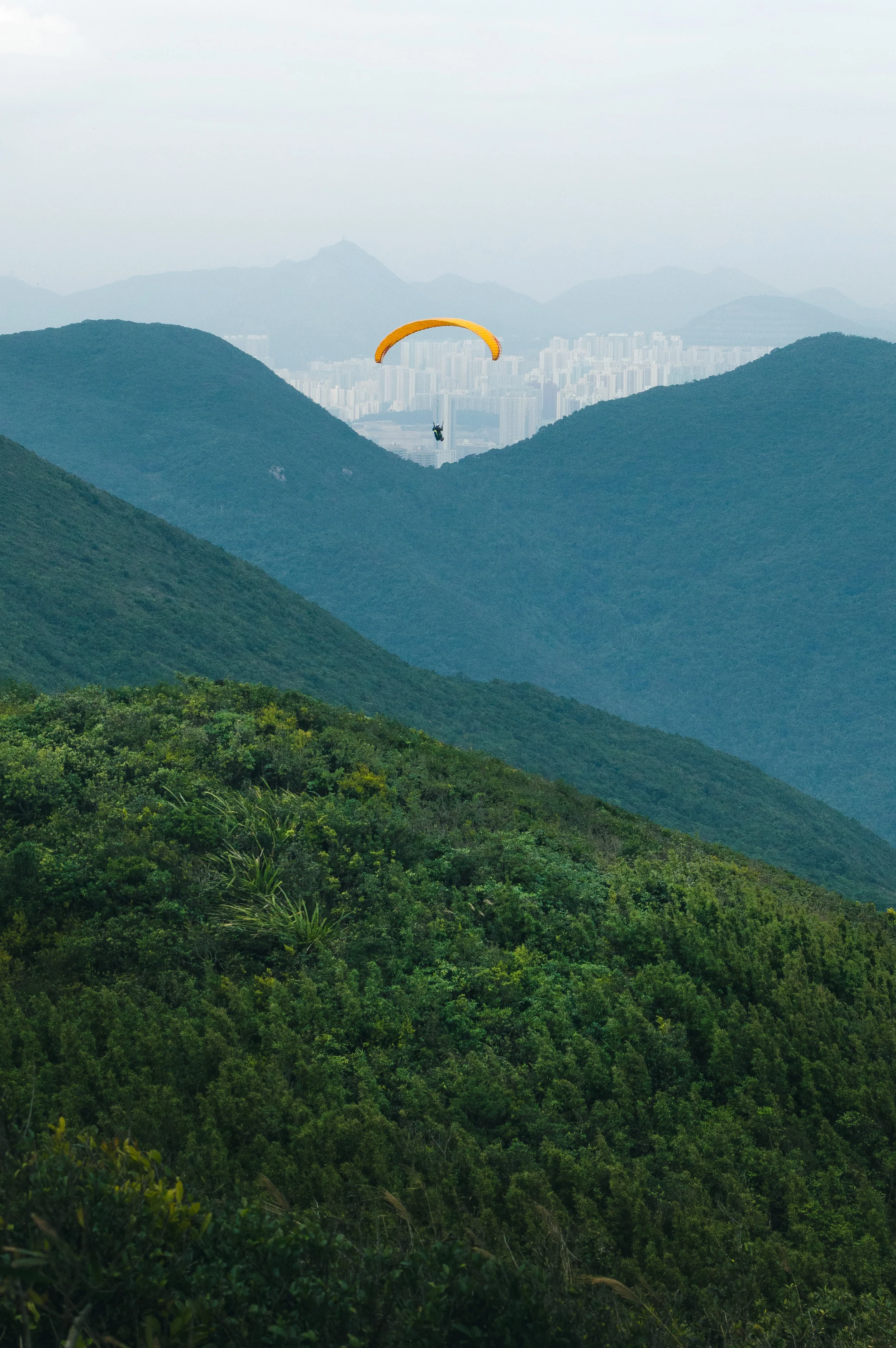 1DSC_0074_LR Test 1 te groot.JPG