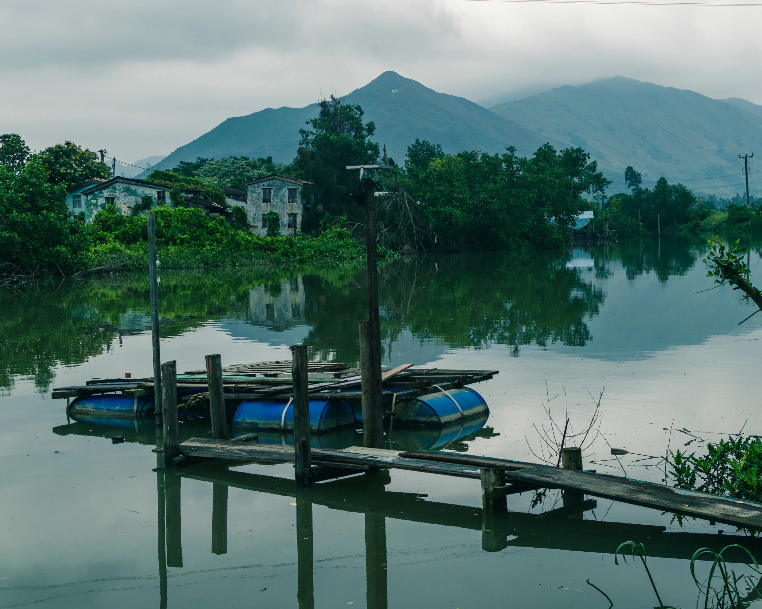 LR_0890-3.JPG