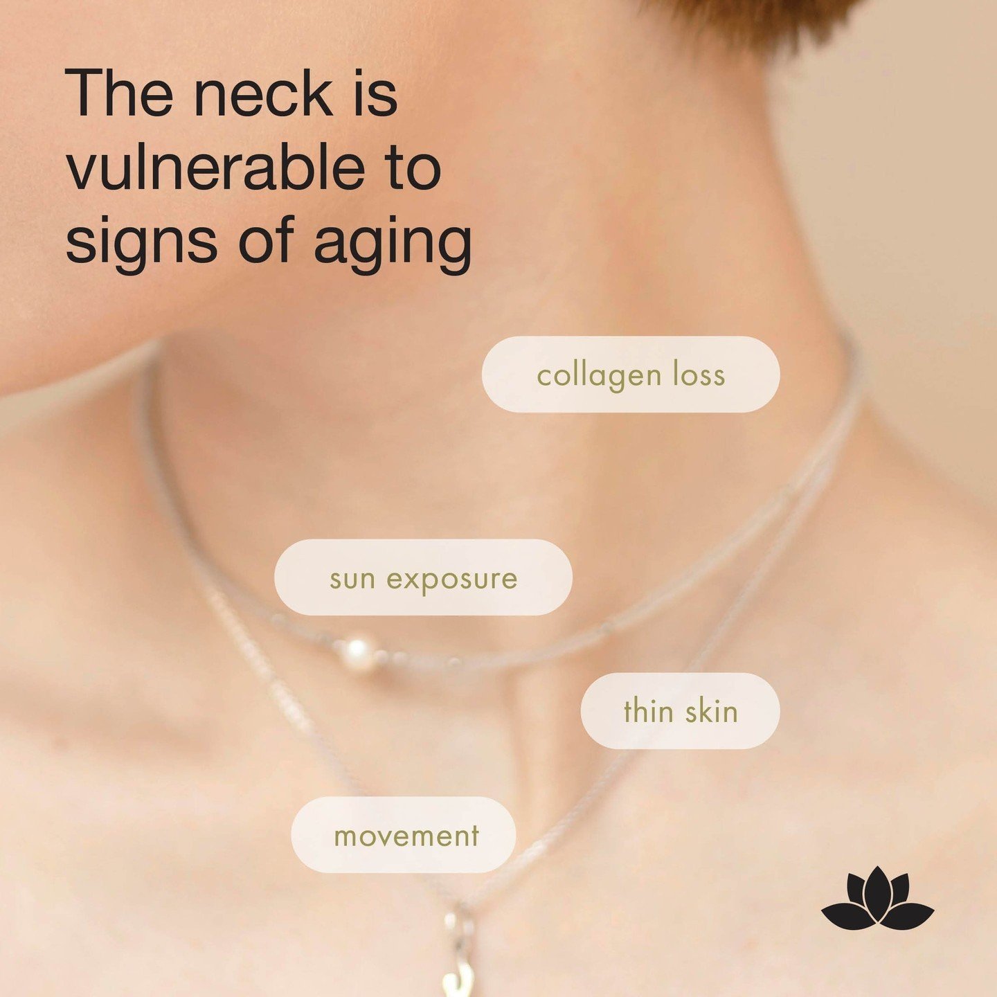 The skin on our necks is thinner and more delicate than the skin on our face, with fewer oil glands to keep it hydrated. Combine that with constant movement and you have a recipe for wrinkles, sagging, and other signs of aging. ALSO! Tech neck&mdash;