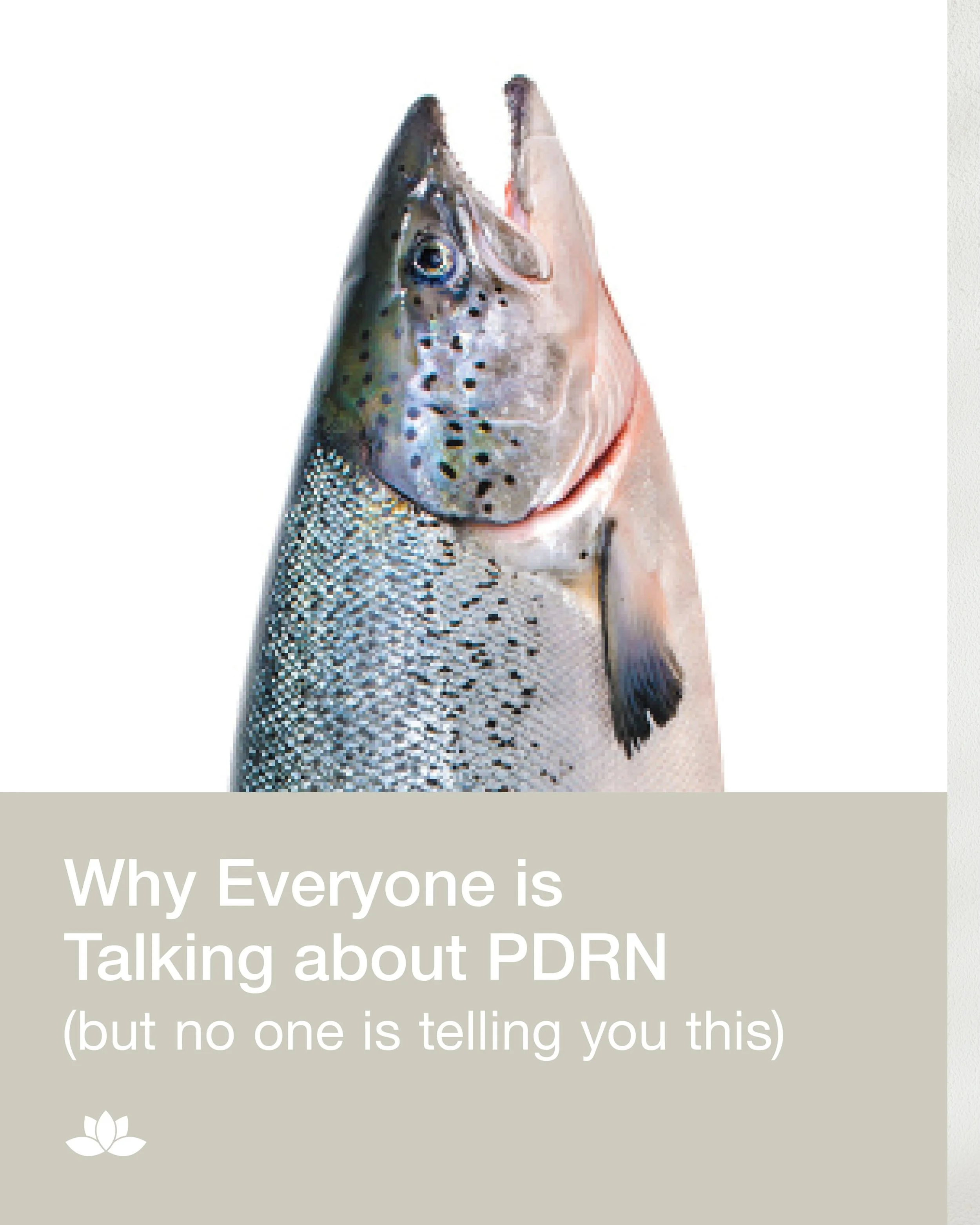 PDRN may be trending as the newest &ldquo;it ingredient&rdquo; in aesthetics, but it goes far beyond skincare. 🐟

Long before celebrities and viral &ldquo;salmon sperm facials,&rdquo; PDRN was being studied and used in medicine to support wound heal