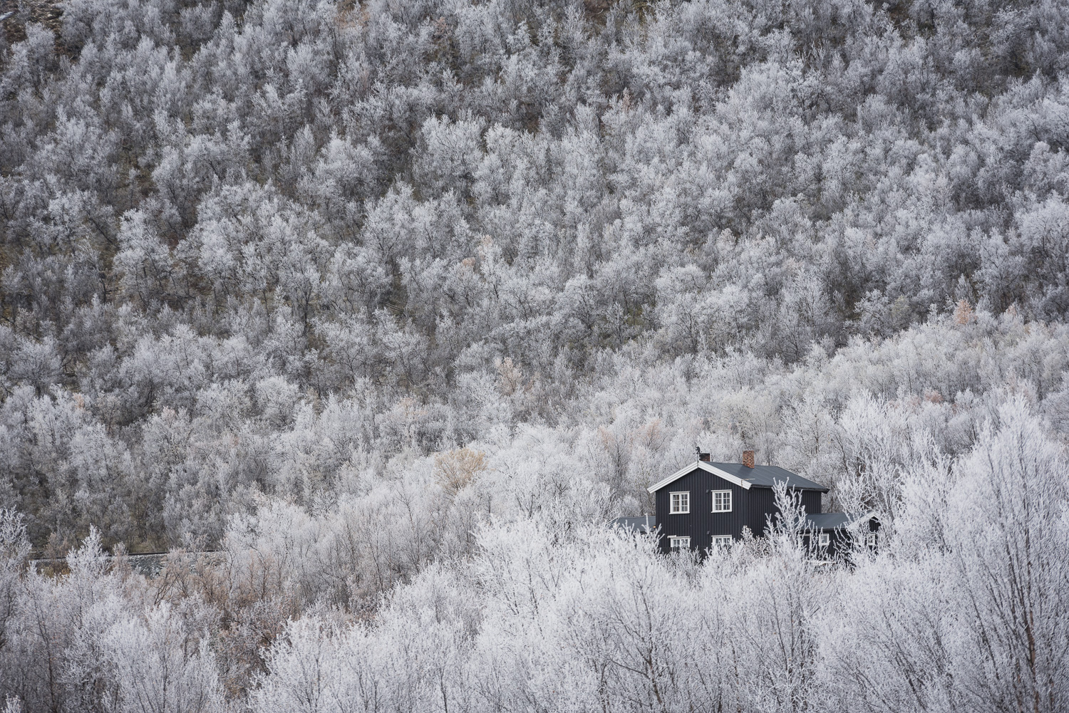 "9" Hjerkinn, DovrefjellPrinted in high quality lustre photo paper at the following sizes:75x50cm 1500.- kr. 60x40cm 1000.- kr. 45x30cm 500.- kr. 30x20cm 300.- kr.Other available sizes upon request.