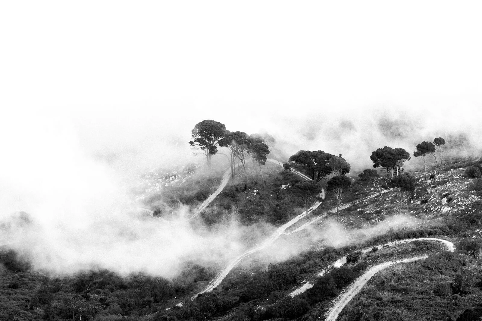 Misty Fog I.jpg