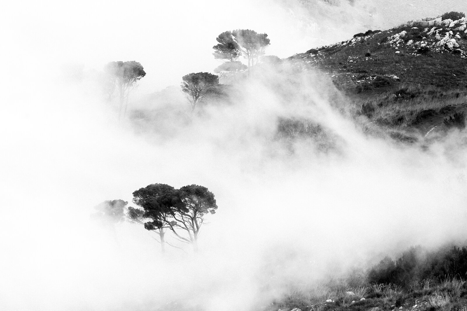 Misty Fog II.jpg