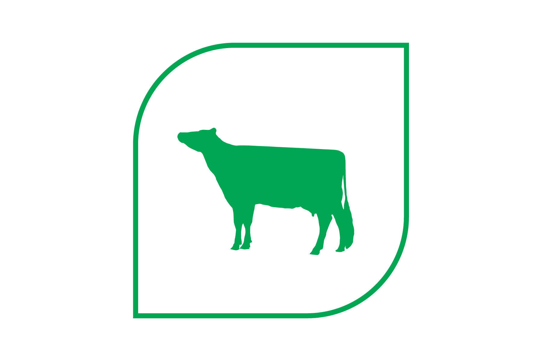leafy-corn-silage-high-feed-quality.png