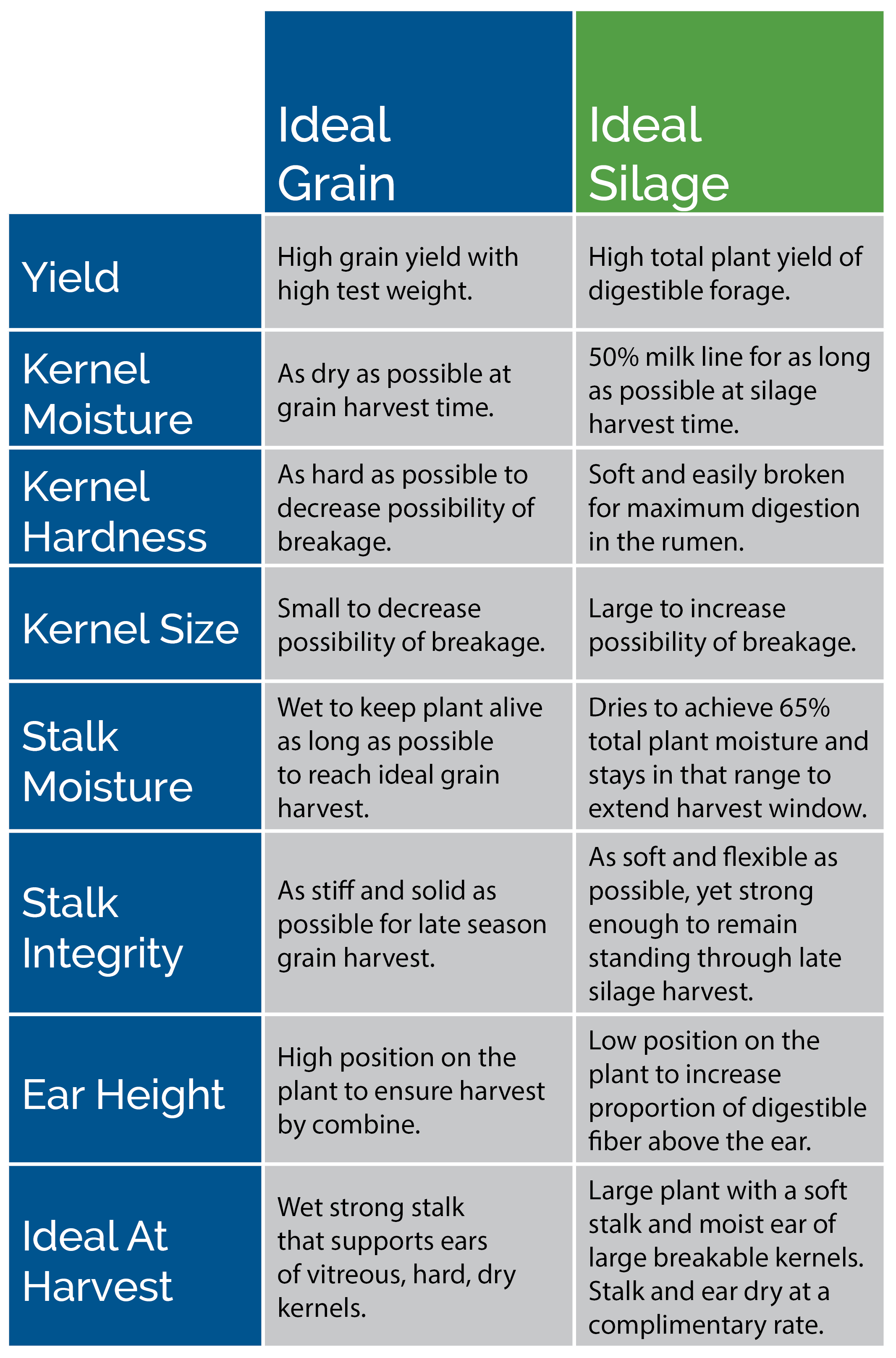ideal-grain-corn-versus-ideal-silage-corn-characteristics.jpg