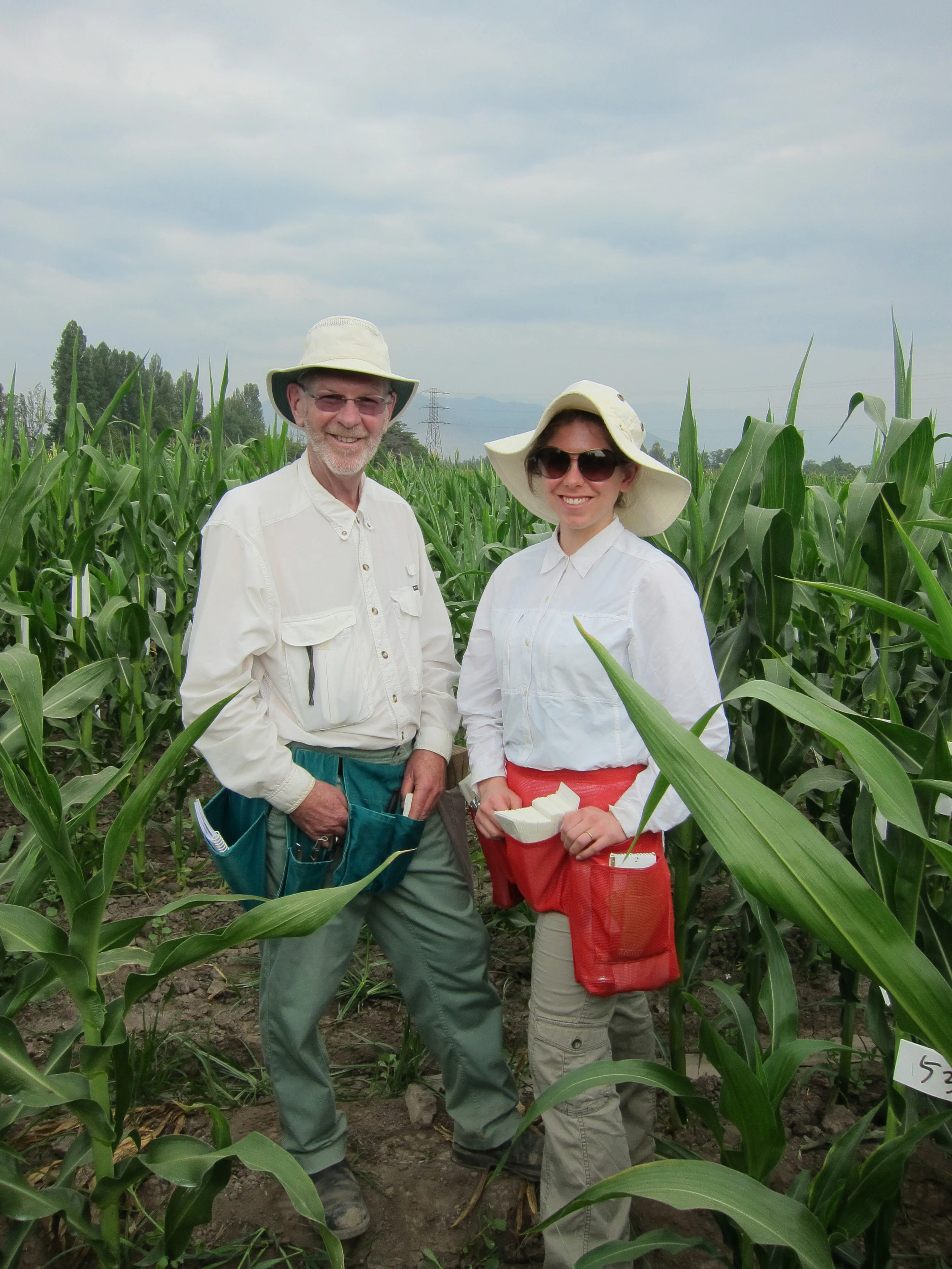 Dr. Francis Glenn and daughter Margo Lee putting on shoot bags in our winter nursery in Chile. By growing a summer nursery in Canada and a winter nursery in Chile we can have two breeding generations per season.