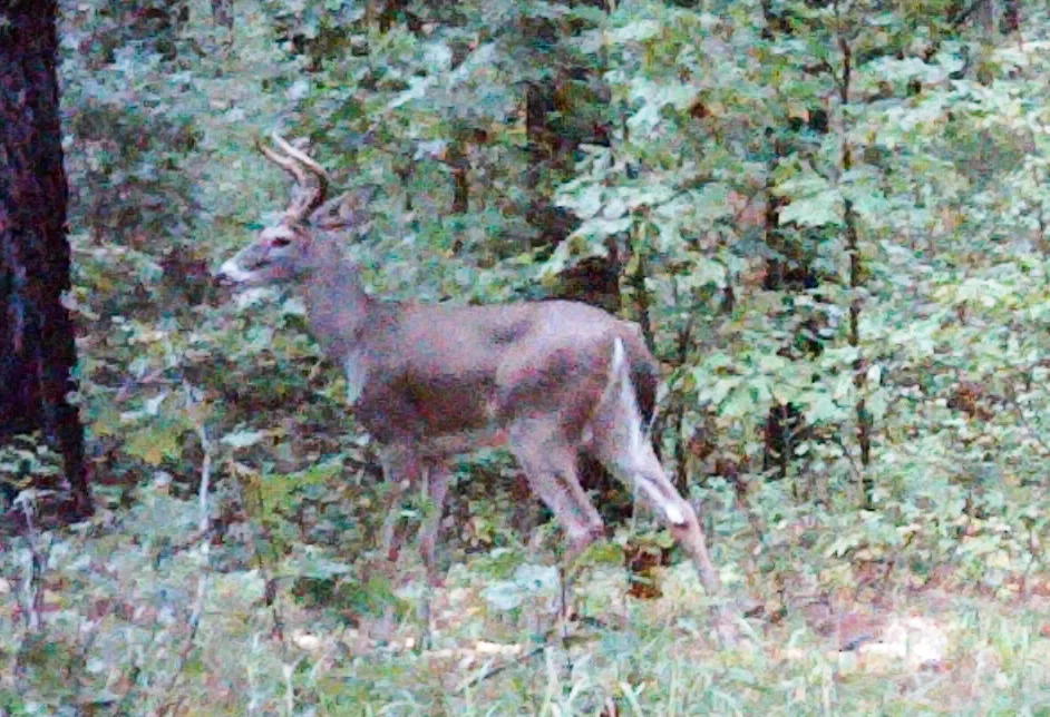 PICT0138_edited.jpg