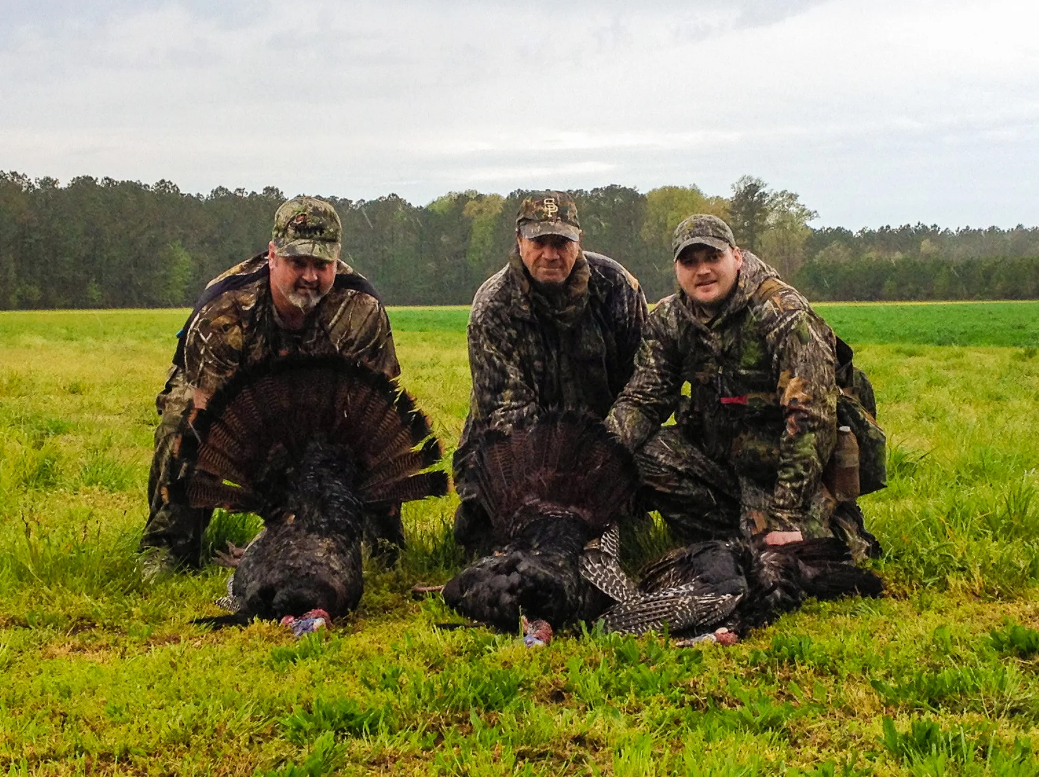 3 men 3 birds.jpg