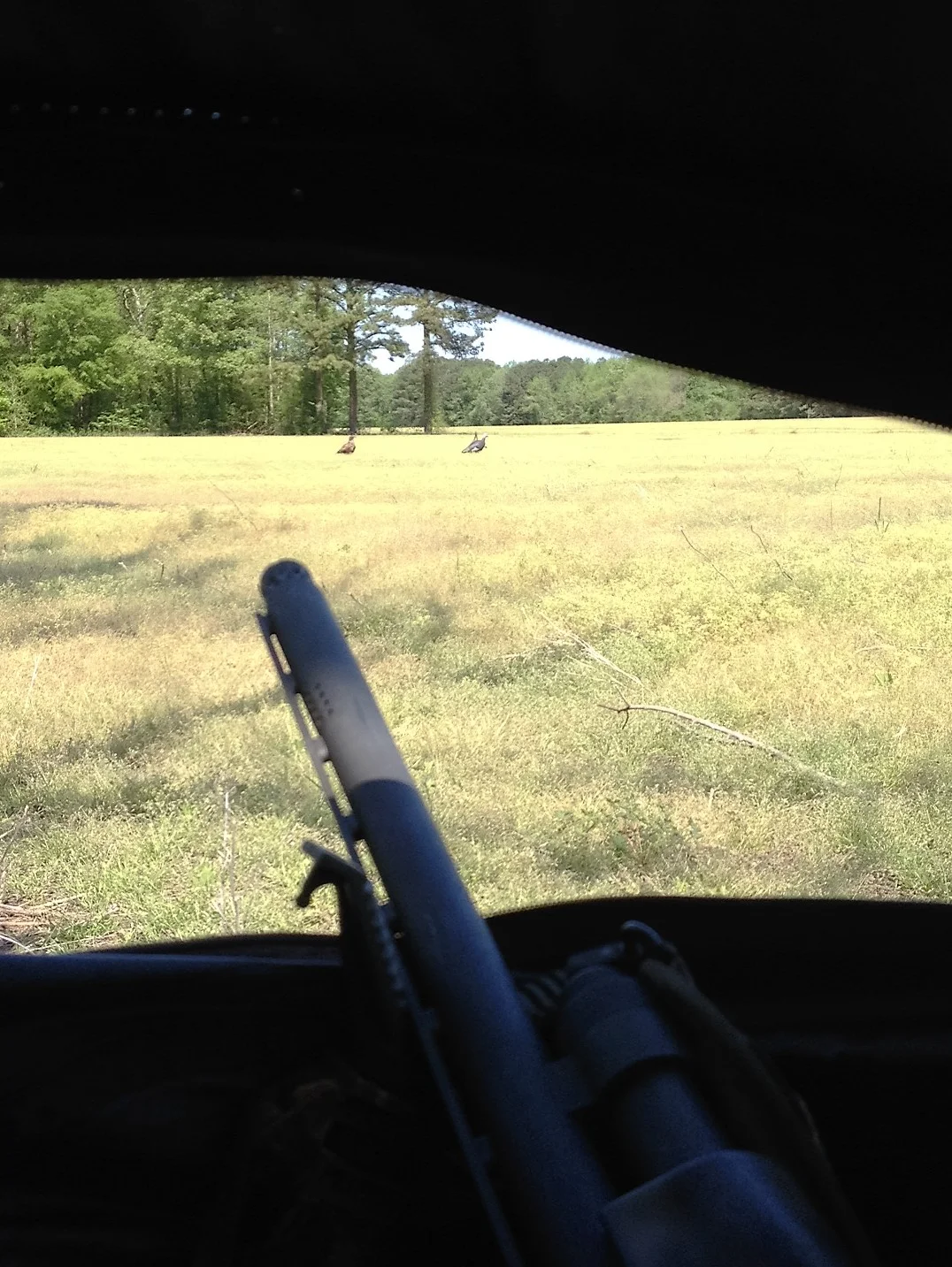 turkey target.jpg